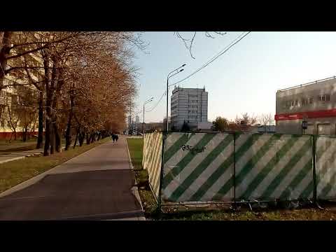 Москва 986 улица Берёзовая Аллея осень день