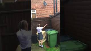 Cat in the rain ☔️ So much Fun 🤣