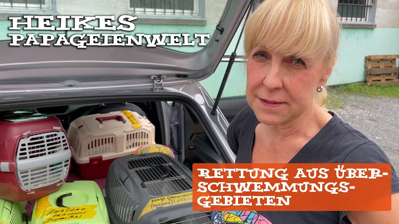 Papageienrettung aus Hochwassergebieten - Aufnahme in Quarantänestation des Papageienparks