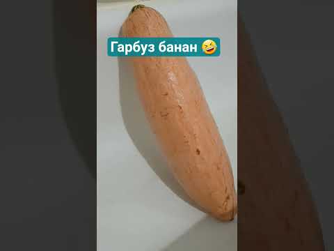 Гарбуз рожевий Банан  насіння 20шт, видео 1