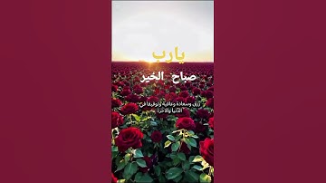 اللهم أجعل هاذا الصباح يحمل بشائر خيرك #دعاء_الصباح #اذكار_الصباح #اذكروالله #دعاء #المصحف #اكسبلور