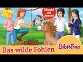Bibi Tina Das Wilde Fohlen Folge 93 Hörspiel Des Monats SEPTEMBER 2024