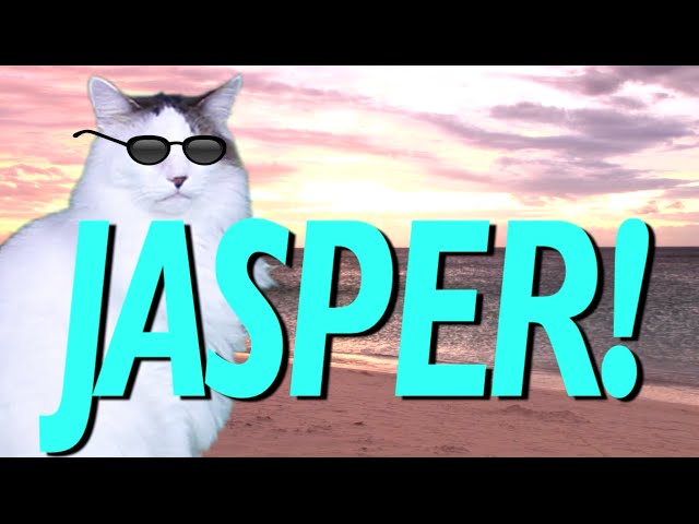 HAPPY BIRTHDAY JASPER! - EPIC CAT Happy Birthday Song