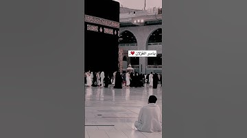 آداء بديع للقارئ ياسر القزلان ل سورة الرحمن