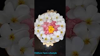 Woww.. Beautiful😍😍 Flower Decor🌷🪻🌸🌾 #shorts #flowers #decor #viral #vlog #trending