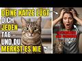 Deine Katze lügt dich JEDEN TAG an – und du merkst es nie (Psychologen sind schockiert)