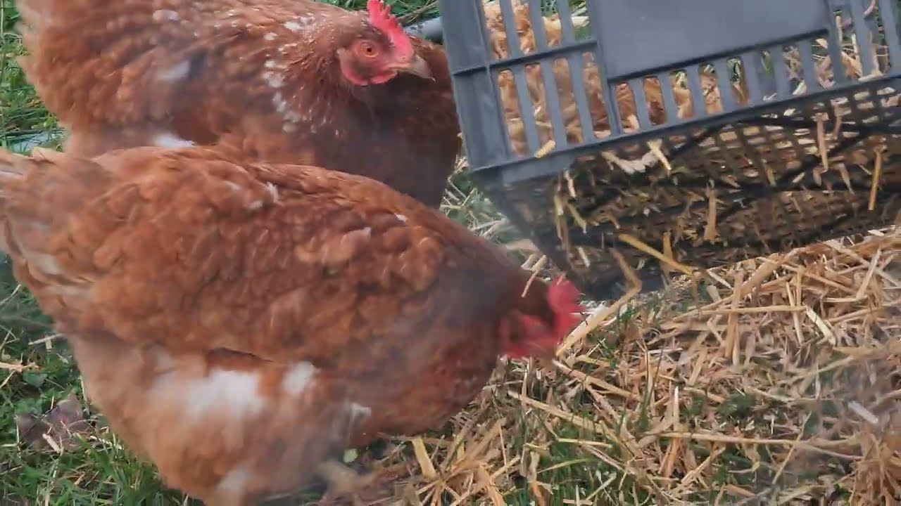 De belles rencontres et une affluence record : Temps forts de notre JPO de janvier !