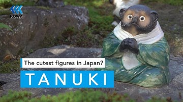 Tanukis: the cutest good luck Yokai in JAPAN?