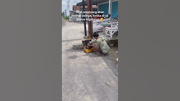 Story wifi RT RW net part 92