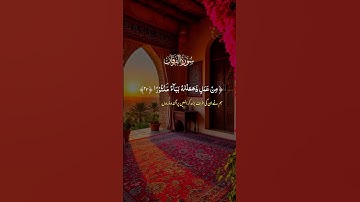 #قران_كريم #حالات_واتساب #راحة_نفسية #المصحف #صلوا_على_النبي #تلاوة_خاشعة #تلاوة_نادرة_لاول_مرة