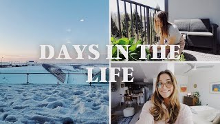 DAYS IN THE LIFE \/\/ stuck in the airport, healthy routines, grocery haul, mother wound talk - vlog
