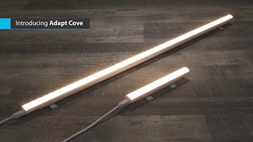 Acclaim Lighting - Adapt Cove
