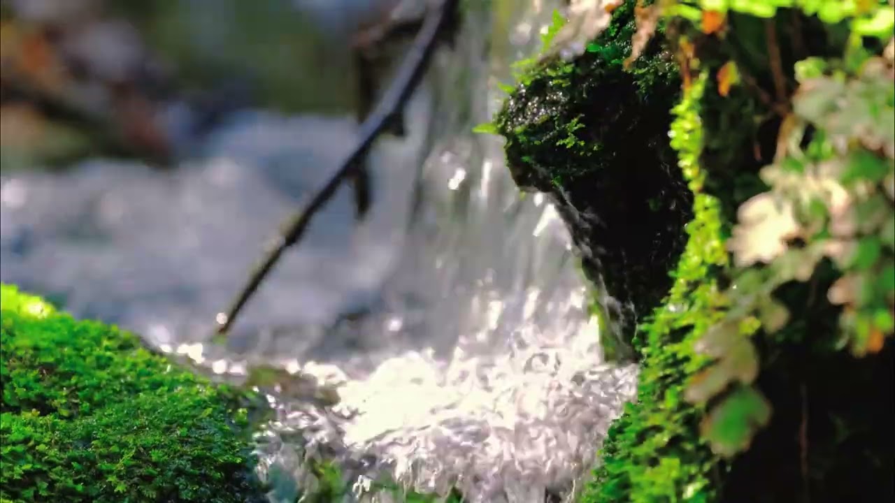 자연의 소리, 흐르는 물소리, 숙면을 위한 편안한 음악, 공부, 카페, 스파에 적합한 음악.