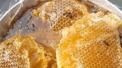 MẬT KHOÁI RỪNG LAI CHÂU ĐÂY CÔ BÁC ƠI/0394313273