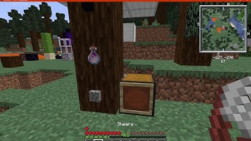 Another Invisible Item Frame Pack 1.16 to 20w49a (1.17 Snapshot) Datapack Overview
