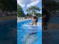 流れるプールが1番楽しい