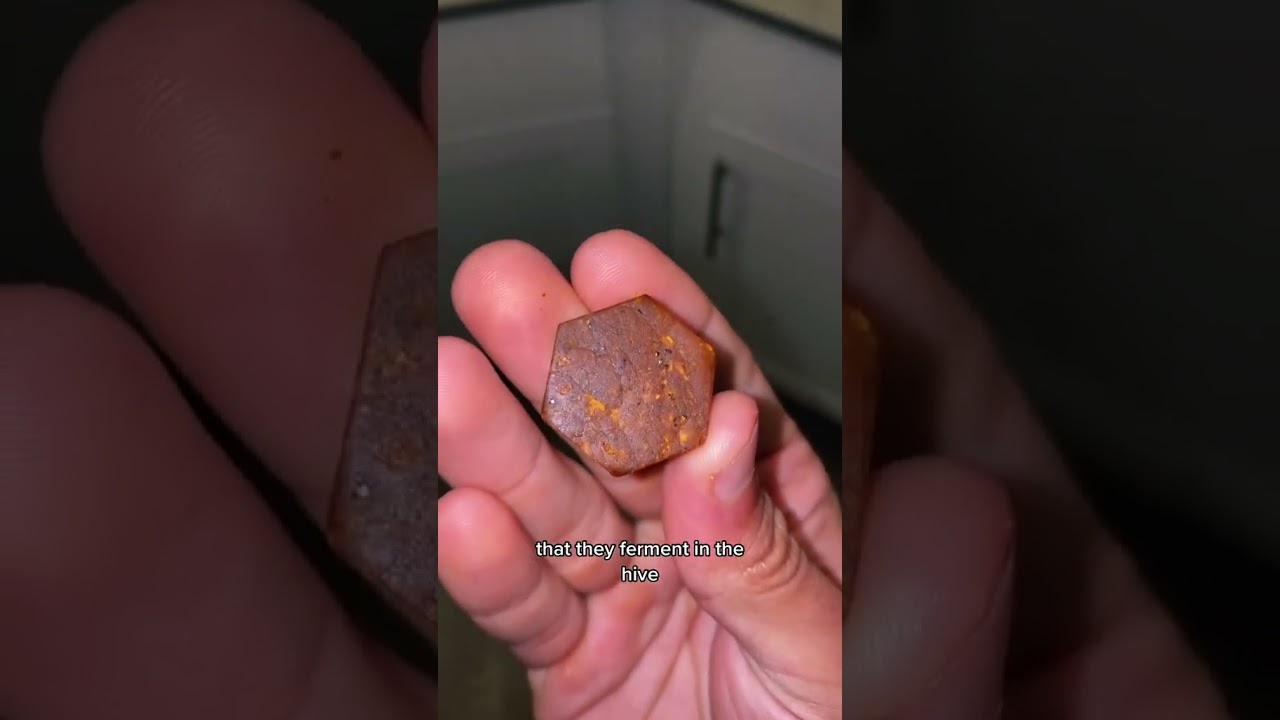 Spartan Elixir: Bee Bread with 240+ Natural Nutrients! 🌿💥