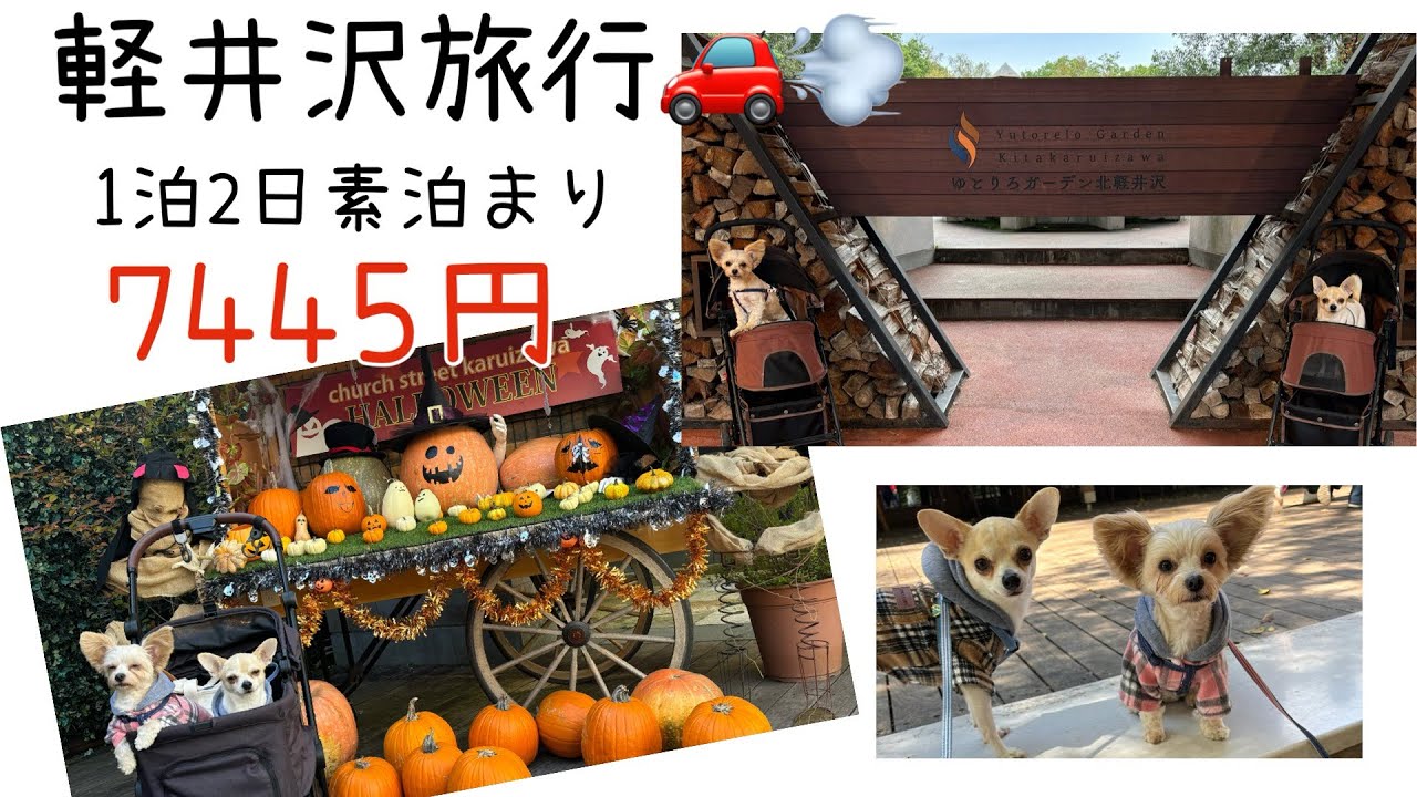 【犬旅】ゆとりろガーデン北軽井沢withDOGS