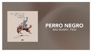 Bad Bunny, Feid - PERRO NEGRO [ Letra/Lyric ] Resimi