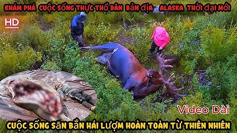 VIDEO Dài .Khám Phá Cuộc Sống Thổ Dân -Thợ Săn - Con Mồi . Vùng Đất Con Người Alaska