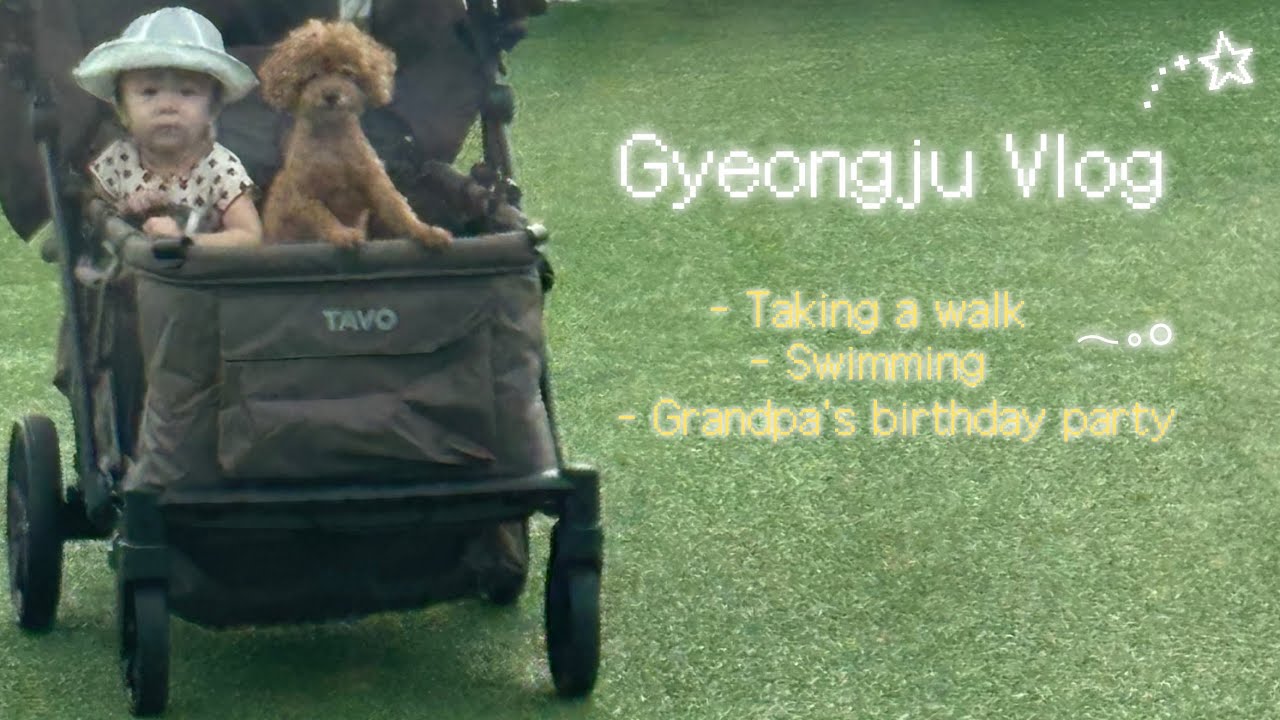 13개월 아기랑 경주, 애개육아..👶🏻🐶❤️‍🔥