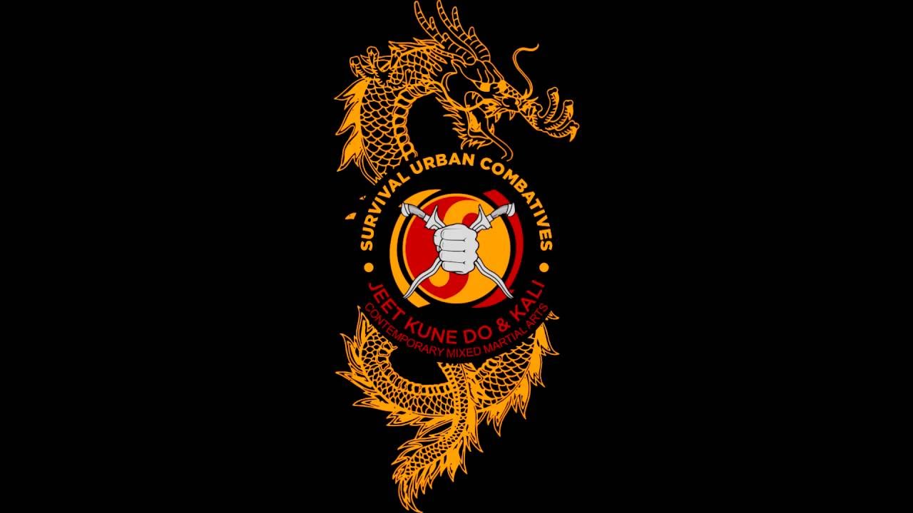 Free Chi Sao Lesson - Realistic Wing Chun/Jun Fan Gung Fu - Sifu Edmárcio Rodrigues