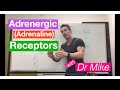 Adrenergic (adrenaline/epinephrine) Receptors