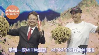全新一季MIT台灣誌　MOMOTV綜合台開播
