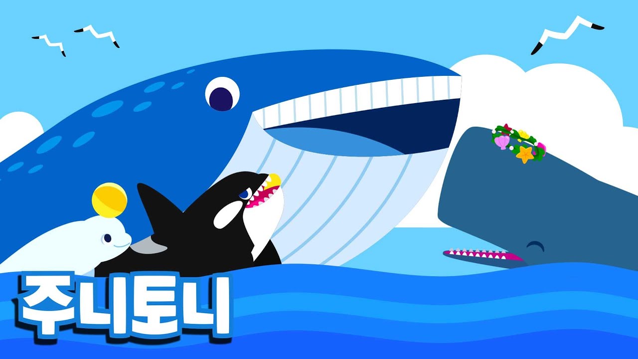 [Eng sub] 고래송 | 노래로 고래 종류 배우기 | 바다동물동요 | 어린이 자연 교육 | 주니토니 by 키즈캐슬