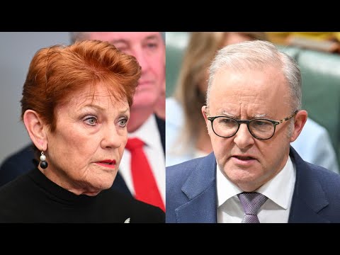 Video Labors progressive patriotism under fire as One Nation continues to gain ground