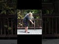 Lion Lynch Kickflipper edit for Blast Off 2025 #bovc25