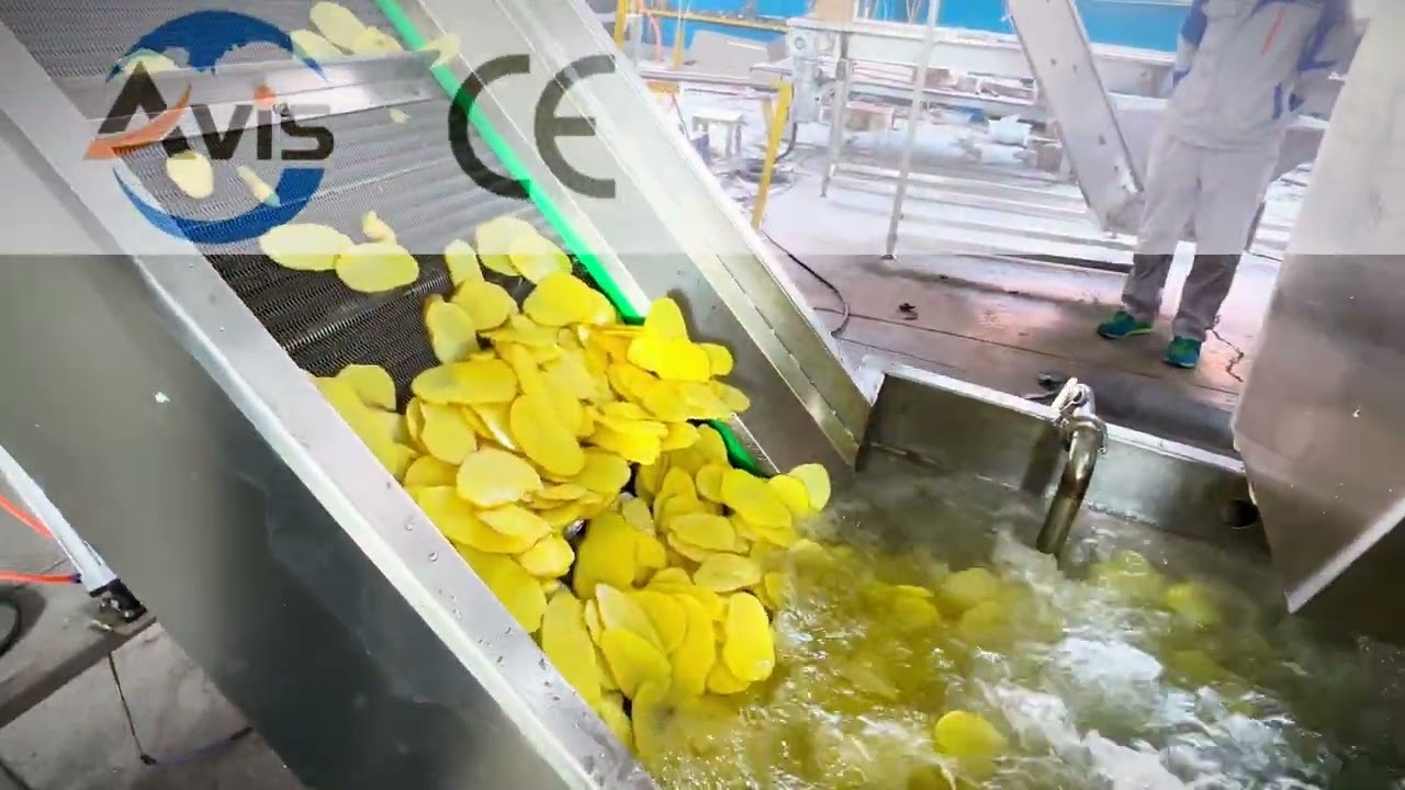 Banana Slices French Fries Potato Chips Frying Machine Fully Automatic Production Line
