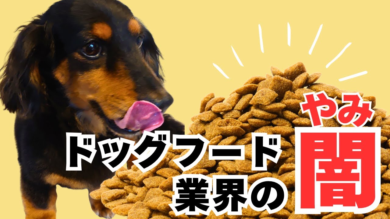 The dark side of domestically produced dog food…the truth about