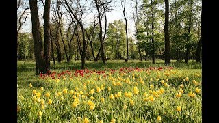 Песни Белгородской области Волоконовский район село Фощеватово