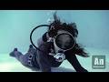 Black diver aya