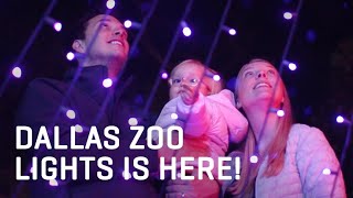 OVER A MILLION LIGHTS Shine at the Dallas Zoo!