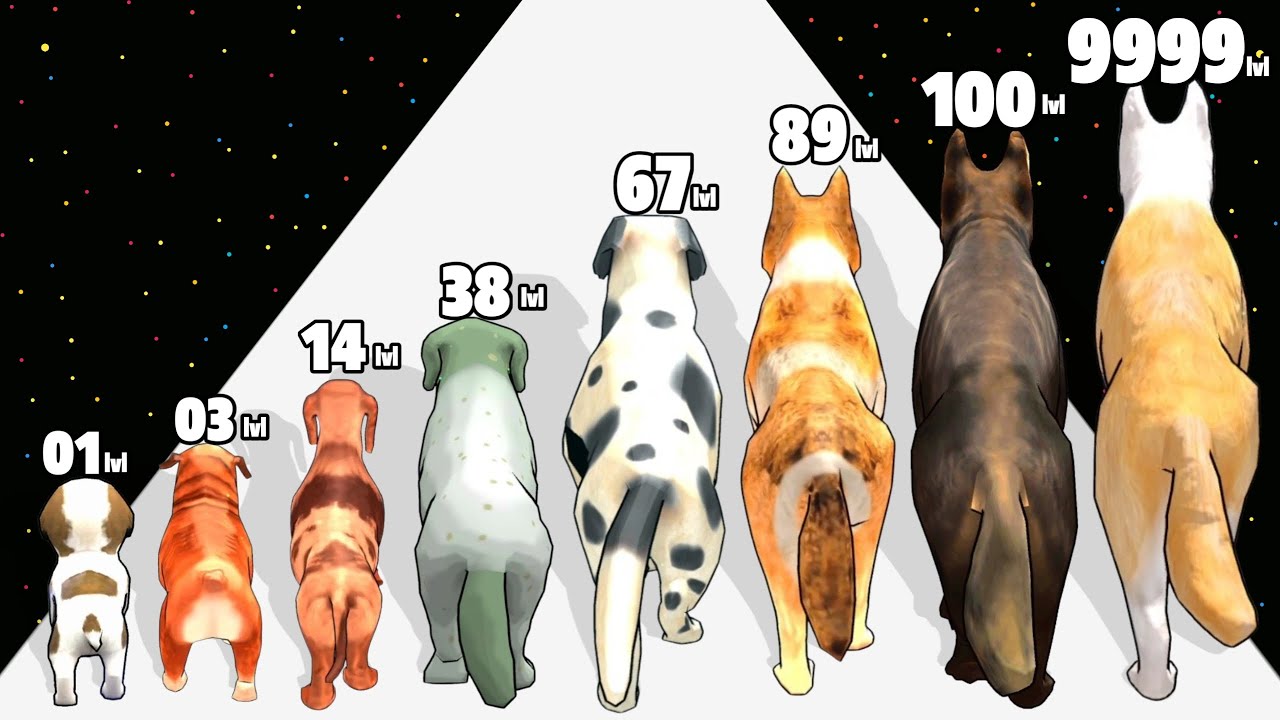 Dog Evolution Run 3D - Level Up Dog Max Level Gameplay Part 2 New Update