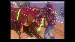 MOKETE OA TSOALO EA MOTLOTLEHI.  BELA BELA, MATŠEKHENG! LESOTHO 🇱🇸 