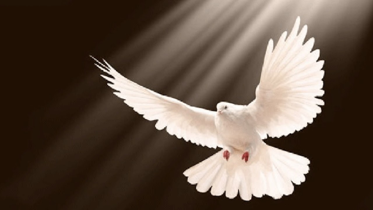 LIVE🔴: WEDNESDAY ADORATION PRAYERS OF HEALING AND DELIVERANCE w/ Fr. Dominic-King, CSSp