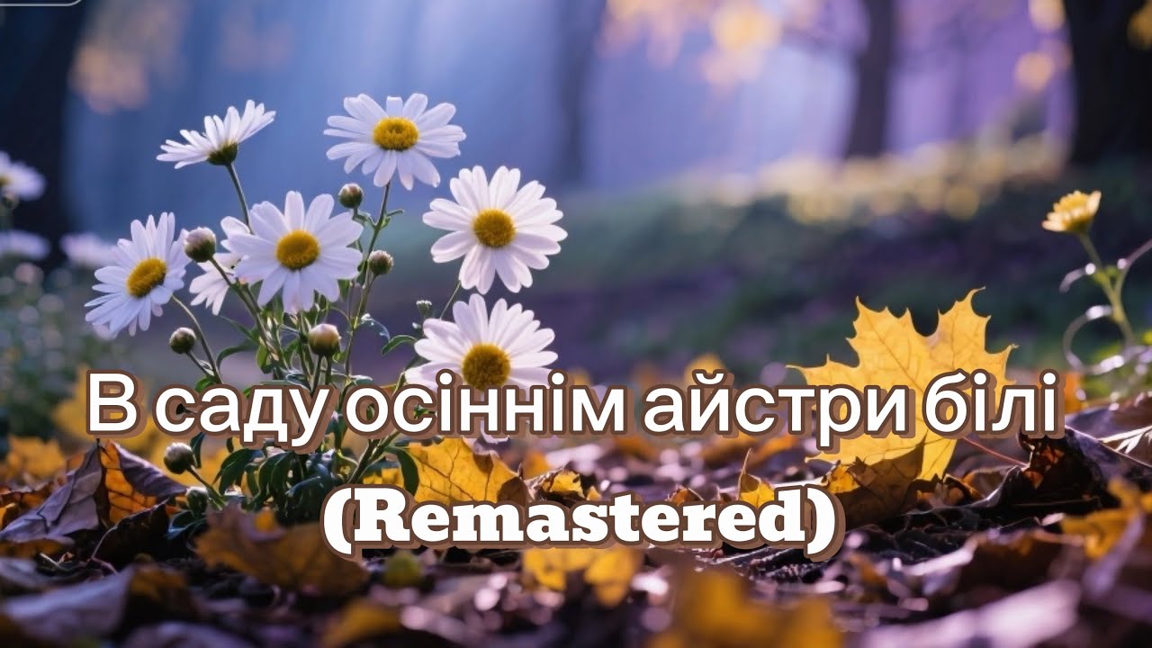 В саду осіннім айстри білі (Remastered)