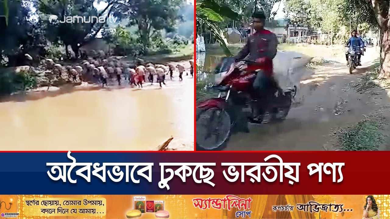 নেত্রকোণায় সীমান্তে শক্তিশালী চোরাচালান সিন্ডিকেট | Netrokona