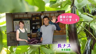 旬ごよみ 長なす【NCCスーパーJチャンネル長崎】 旬ごよみ 長なす【NCCスーパーJチャンネル長崎】