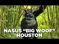 Nasus "Big Woof" Houston