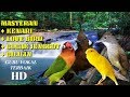 Kombinasi Kenari Lovebird Cucak Jenggot Dan Cililin Masteran Murai Batu Dan Burung Ocehan Lain Omkicau(.mp3 .mp4) Mp3 - Mp4 Download
