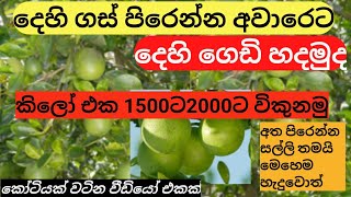 දහ ගස පරනන අවරට දහ ගඩ හදමද. කල එක 1500ට2000ට වකනම. Dehi.