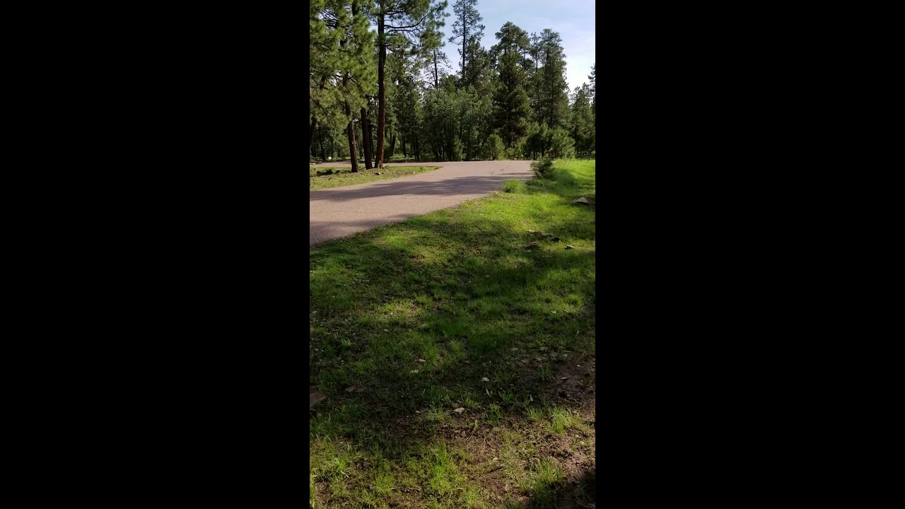 Dyrt Ranger Review: Aspen Campground - Site 31