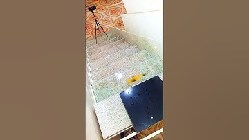 #shorts Breaking glass bottles🙀🔥A Crushing Crunchy & Soft Things !🚧⚠️#asmr #subscribe #bottle #like