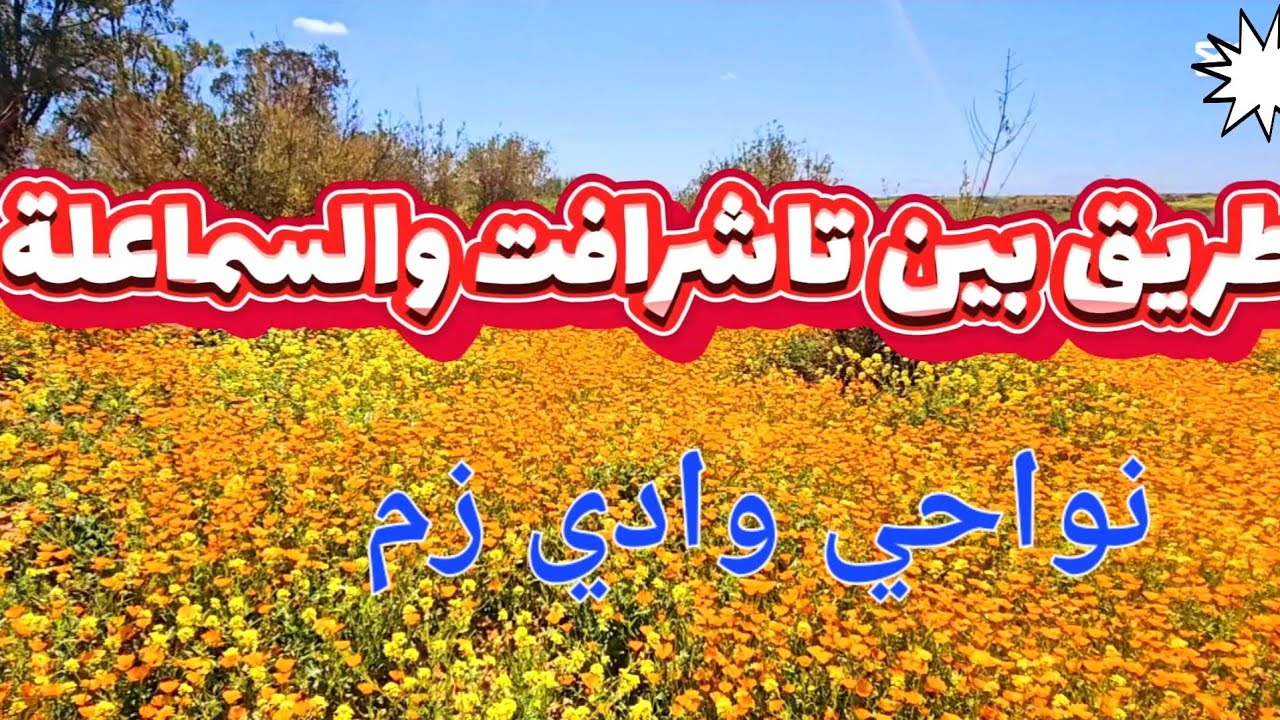 لطريق بين جماعة تاشرافت وجماعة السماعلة –نواحي وادي زم،أجواء الربيع...الحوازم #2025 #maroc