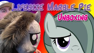 Lifesize Marble Pie Plush Unboxing