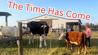 Saying Goodbye To Tater @CogHillFarm